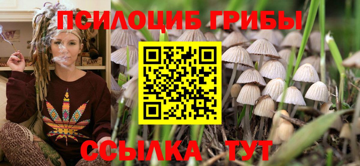 Псилоцибиновые грибы прущие грибы  Вход с VPN  Галлюциногенные грибы мухоморы  Хабаровск 